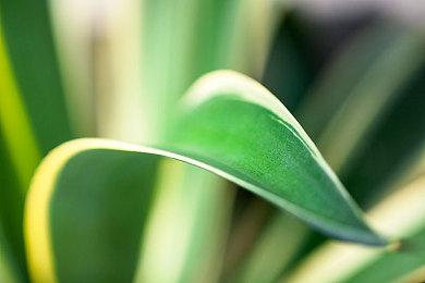 《网络奇兵：重制版》很可能推迟到2023年3月发行